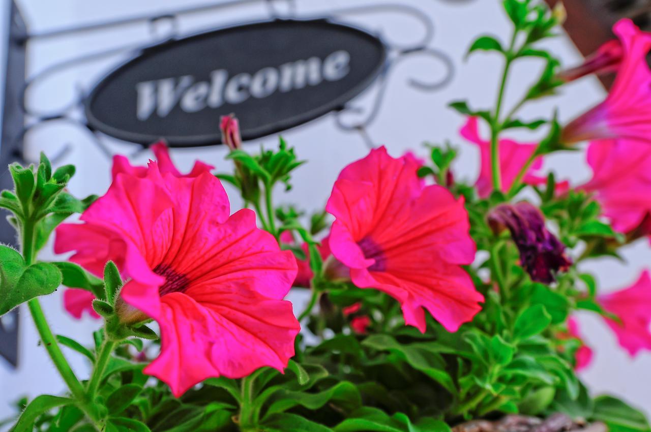Faros Hotel Áfissos Ngoại thất bức ảnh